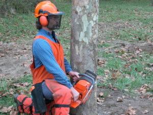 Cover photo for Tree Cleanup and Chainsaw Safety Class