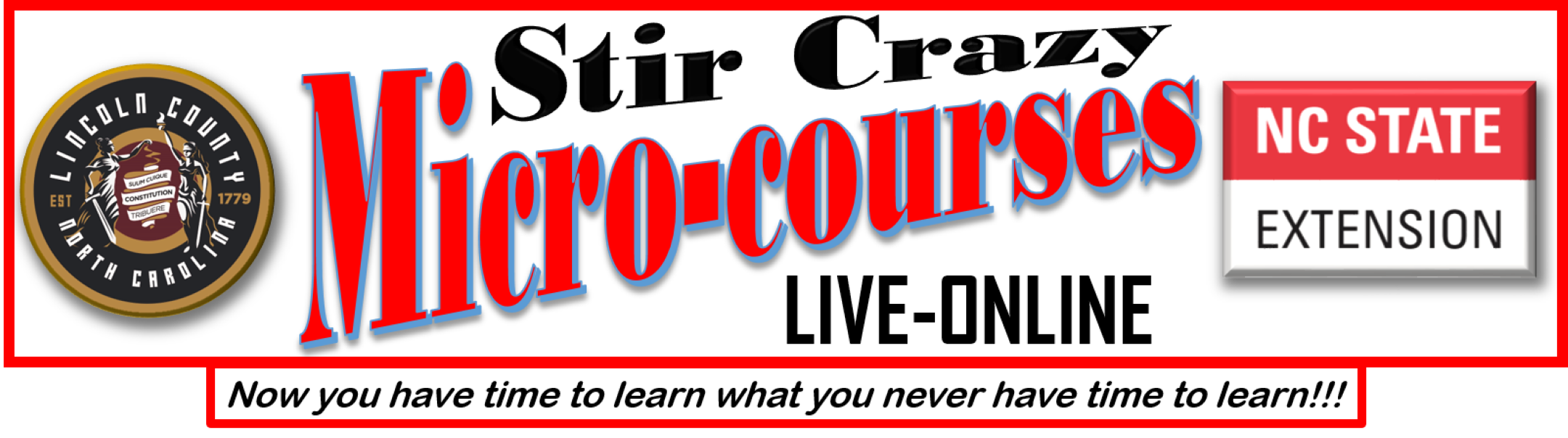 Stir Crazy Mico-Courses banner