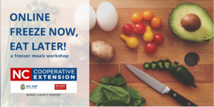 Cover photo for Freeze Now, Eat Later! Online Zoom Class