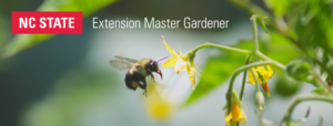 Cover photo for 2021 Extension Master Gardener Class - Begins September 1!