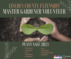 Cover photo for Lincoln County Extension Master Gardener℠ Volunteer 2023 Plant Sale