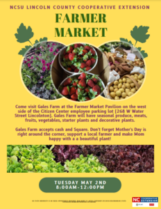 Lincoln County Farmer's Market, May 2nd, 2023