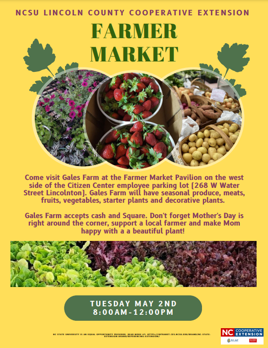Lincoln County Farmer's Market May 2nd, 2023