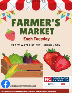 Cover photo for Lincoln County Farmer's Market