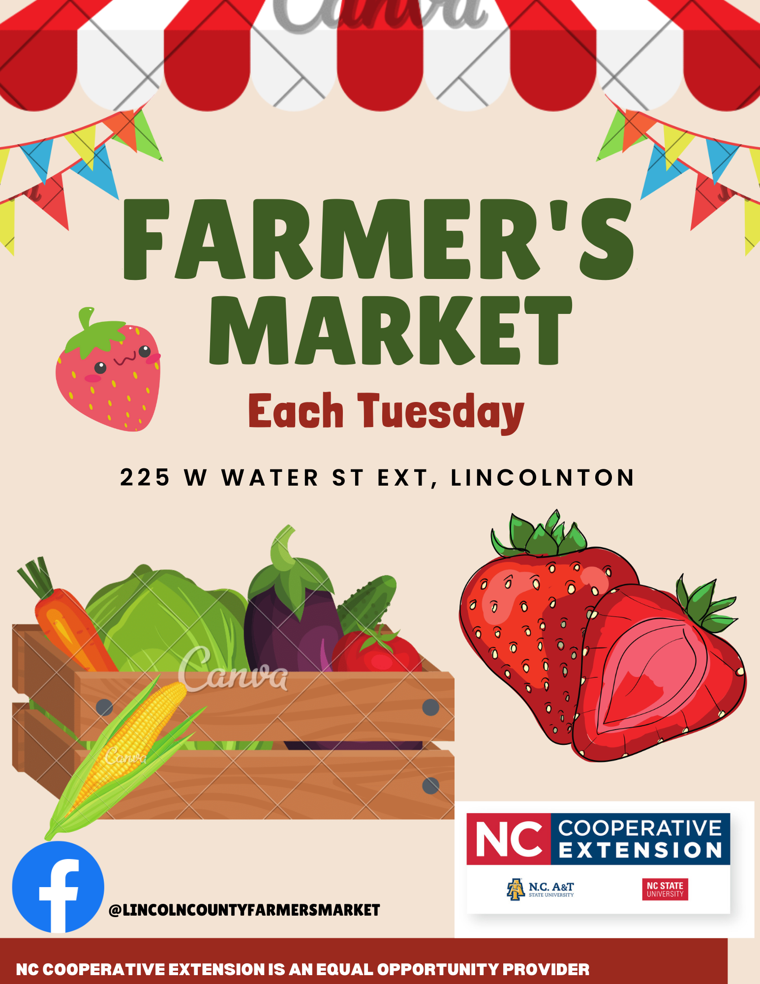Lincoln County Farmer's Market each Tuesday. 225 W Water St EXT, Lincolnton