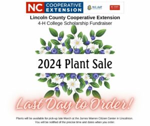 Cover photo for 2024 Plant Sale Is Here