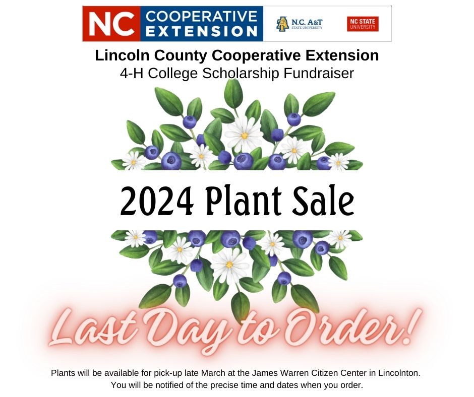 2024 Plant Sale Is Here N C Cooperative Extension   2024 Plant Sale Last Day 