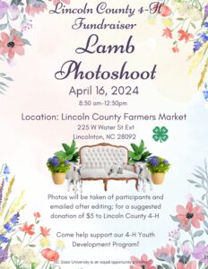 Lamb Photoshoot Flyer