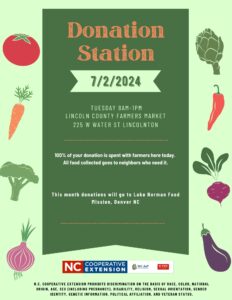 Cover photo for July Donation Station at Lincoln County Farmer's Market