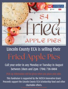 ECA Fried Apple Pie flyer