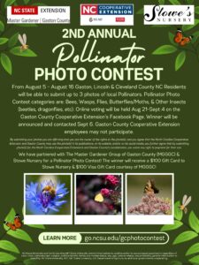 Cover photo for 2024 Pollinator Photo Contest
