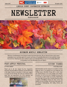 Cover photo for Hello November Newsletter!