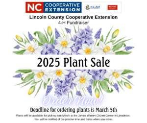 2025 Plant Sale Order Now image