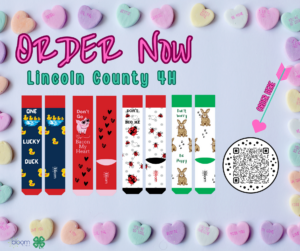 Cover photo for Lincoln County 4H Valentines Sock Store Fundraiser