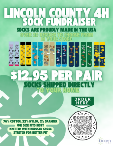 Cover photo for Lincoln County 4H Spring Sock Fundraiser