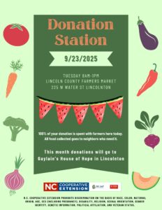 Cover photo for Donation Station at Lincoln County Farmer's Market