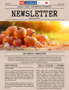 cover page of October 2025 Newsltter