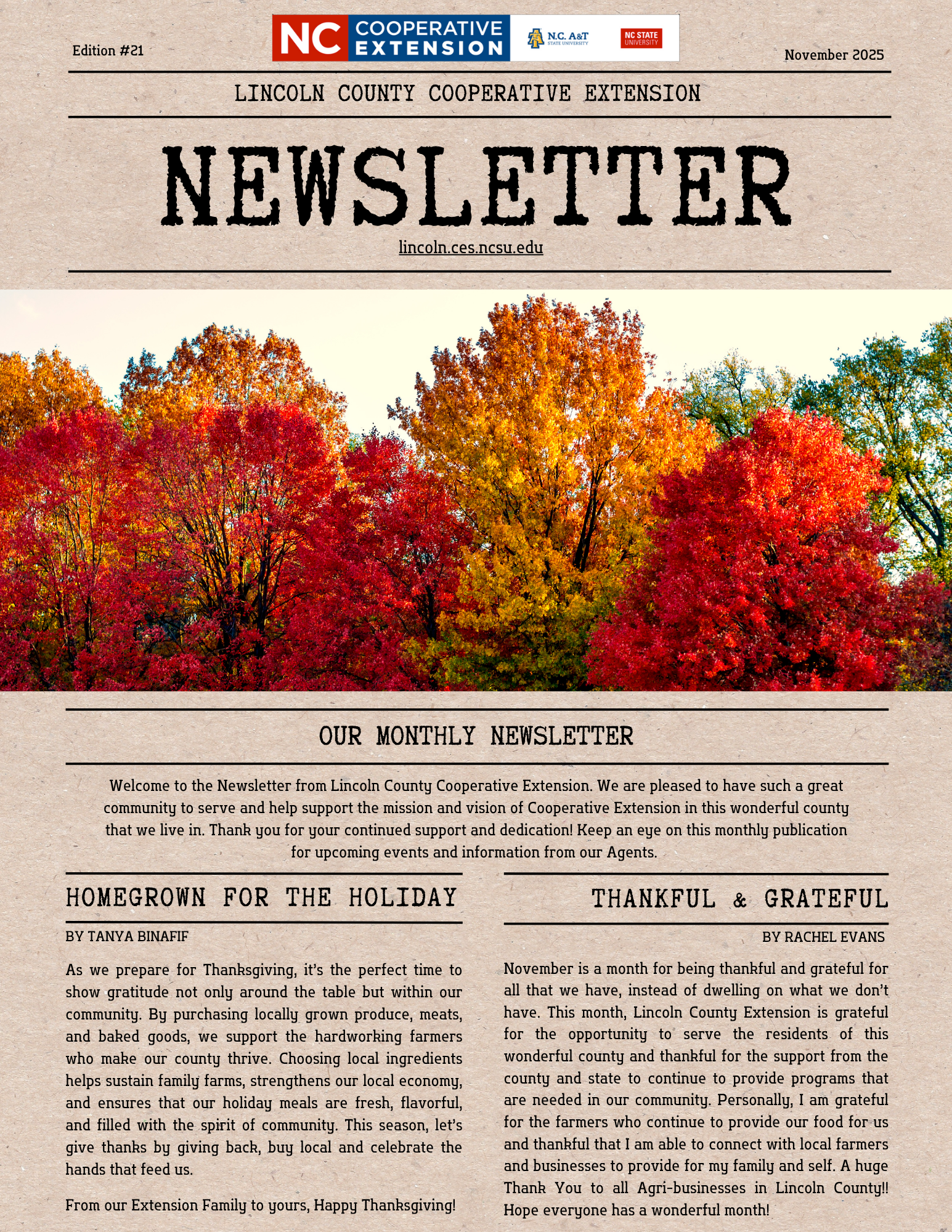 cover page of the November 2025 Newsletter